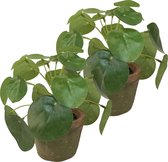 Kunstplant pilea/pannekoekplant - 2x - mini - groen - in pot - 13 cm
