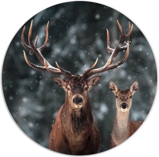 Label2X - Muurcirkel deer couple - Ø 20 cm - Forex - Multicolor - Wandcirkel - Rond Schilderij - Muurdecoratie Cirkel - Wandecoratie rond - Decoratie voor woonkamer of slaapkamer