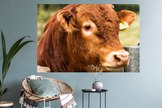 Stickers muraux - Film autocollant - Highlander écossais - Berg - Clôture - 120x80 cm - Film adhésif - Stickers muraux chambre d'enfant - Papier peint autocollant - Papier peint autocollant - Film autocollant