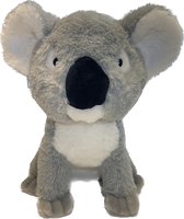 Knuffel Koala