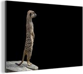 Wanddecoratie Metaal - Aluminium Schilderij Industrieel - Stokstaartje - Wilde dieren - Zwart - 30x20 cm - Dibond - Foto op aluminium - Industriële muurdecoratie - Voor de woonkamer/slaapkamer