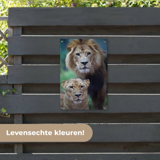 Poster Jardin Lion et Lionne 40x60 cm - petit - Toile de jardin / Toile d'extérieur / Peintures d'extérieur (décoration de jardin)