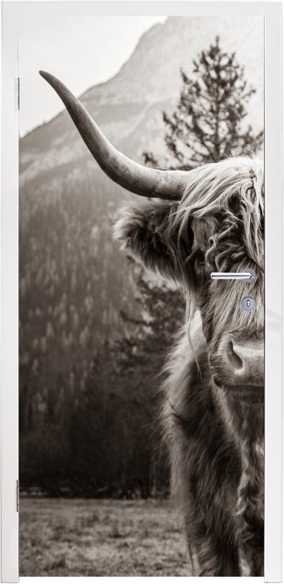 Sticker pour porte Highlander écossais - Taureau - Zwart - Wit - 80x205 cm - Affiche de porte