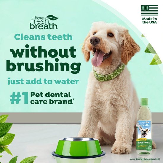 Een vrolijke, vachtkleurige hond met een groen halsbandje likt zijn bek open, naast een groene voerbak en een fles TropiClean