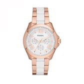Fossil Stella