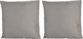 Set van 2x stuks bank/Sier kussens voor binnen en buiten in de kleur grijs 45 x 45 cm - Tuin/huis kussens