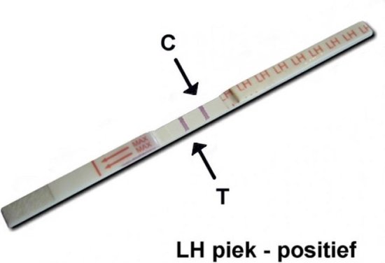 ovulatietest dipstick 12 stuks