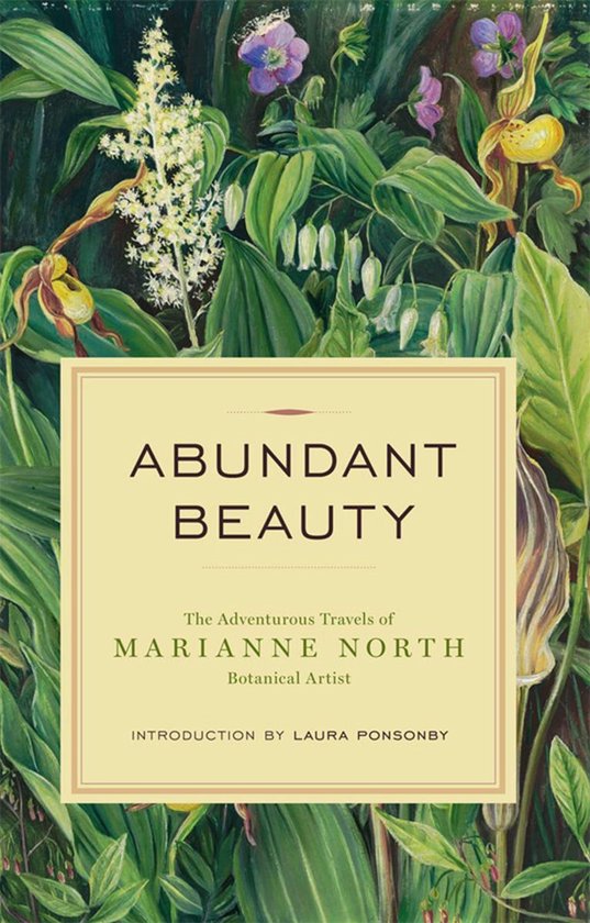 Abundant Beauty - cover