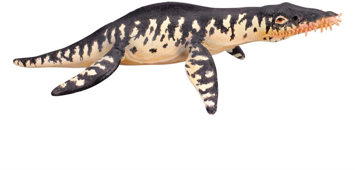 Figurine - Liopleurodon - (L) - Prehistorie - Handgeschilderd - Miniatuur de Collecta en Multicolore – photo du produit