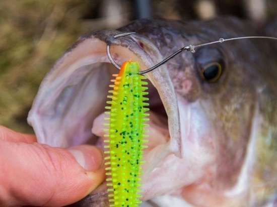 Fox Rage Spikey shad - 6 cm - Lemon Tiger van Fox Rage — afbeelding 3
