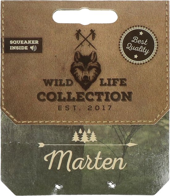 Chien de la vie sauvage Martin