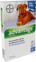 Advantage Hond 400 - 4 pipet