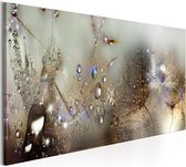 Schilderijen Op Canvas - Schilderij - Nature Sounds 135x45 - Artgeist Schilderij