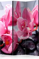 Kamerscherm - Scheidingswand - Vouwscherm - Orchid flowers with zen stones [Room Dividers] 135x172 - Artgeist Vouwscherm