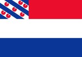 Vlag Nederland met inzet Friese vlag 100x150cm