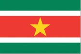 Surinaamse vlag 150x225cm - Spunpoly