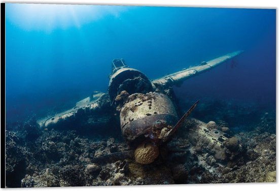 Dibond -Neergestort Vliegtuig in de Zee- Foto op Aluminium (Met Ophangsysteem)