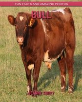 Bull