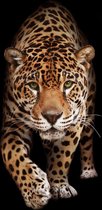 Panter op Geborsteld Aluminium - WallCatcher | Staand 120 x 180 cm | Wild Panther