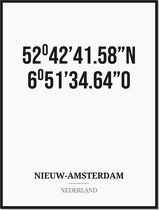 Poster/kaart NIEUW-AMSTERDAM met coördinaten