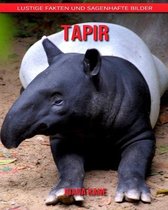 Tapir