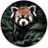 Wandcirkel Kleine Panda - WallCatcher | Aluminium 140 cm | Muurcirkel Red Panda