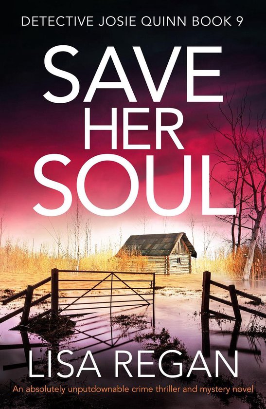 Detective Josie Quinn 9 - Save Her Soul - cover