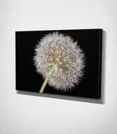 White Flower Canvas - 30 x 40 cm - Bloemen - Schilderij - Canvas - Slaapkamer - Wanddecoratie  - Slaapkamer - Foto op canvas