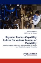 Bayesian Process Capability Indices for Various Sources of Variability