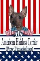 My American Hairless Terrier for President