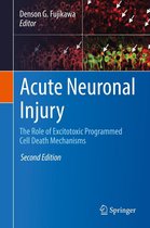 Acute Neuronal Injury