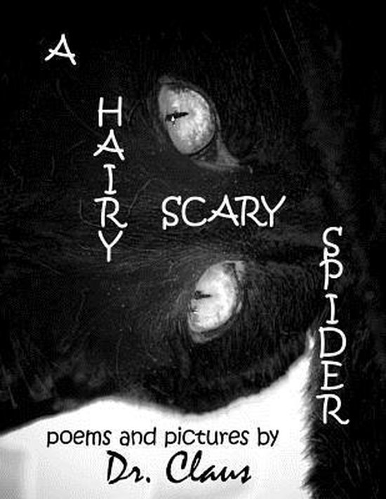 A Hairy Scary Spider - cover