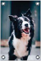 Tuinposter –Vrolijke Hond– 80x120cm Foto op Tuinposter (wanddecoratie voor buiten en binnen)