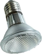 Lampe spot halogène Komodo ES - 75 Watt