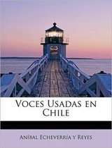Voces Usadas en Chile