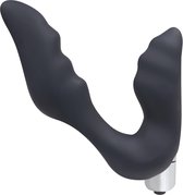 Blackdoor Collection Siliconen Prostaat Vibrator voor Mannen – Anaal Speeltjes met Perineum Stimulatie 14 cm - Zwart