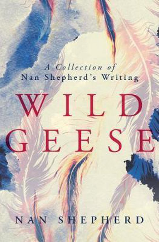 Livre "Wild Geese" par Nan Shepherd. Fond abstrait avec des plumes et des accents bleus.