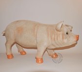 VARKEN STAAND  36CM