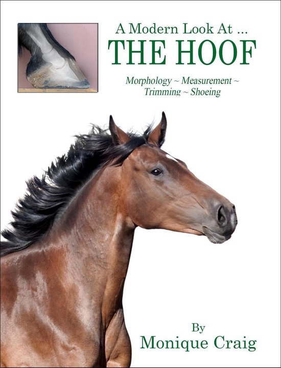 A Modern Look at the Hoof - cover