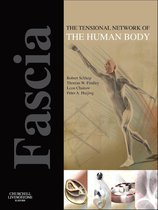 Fascia Tensional Network Of Human Body