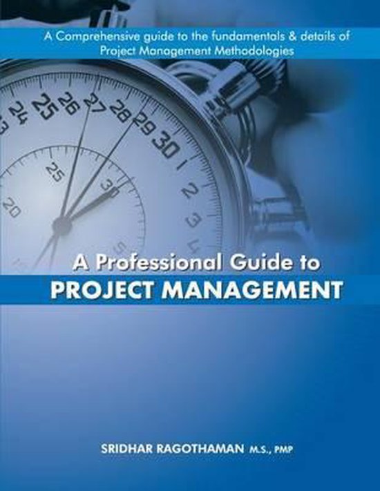 A Professional Guide to Project Management - cover