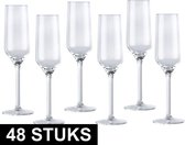 Champagneglas/glazen - 22 centiliter - 48 stuks
