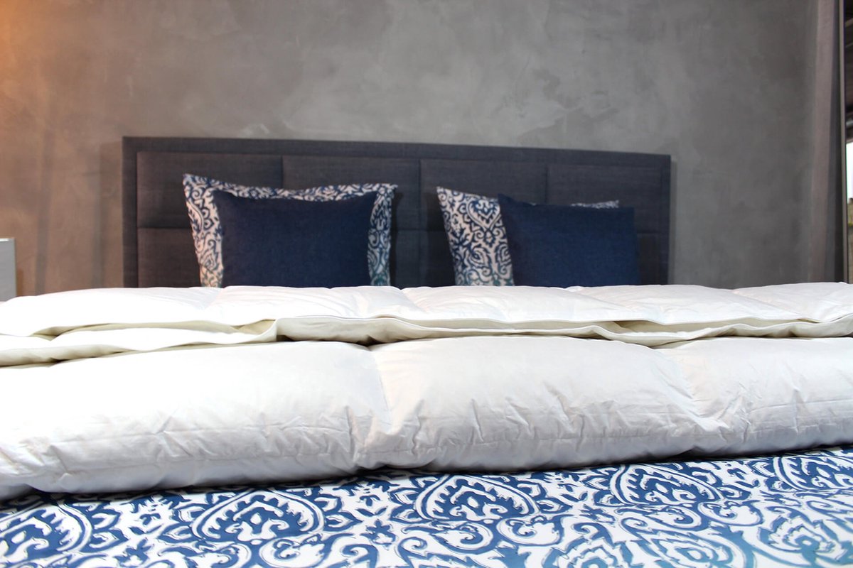 Loiva Ganzendons Dekbed - Exclusief 4-Seizoenen dekbed 200 x 220 cm - Tweepersoons