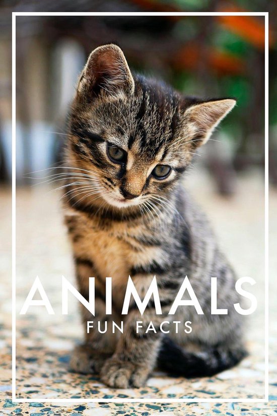 Animals Fun Facts (Epub2) - cover