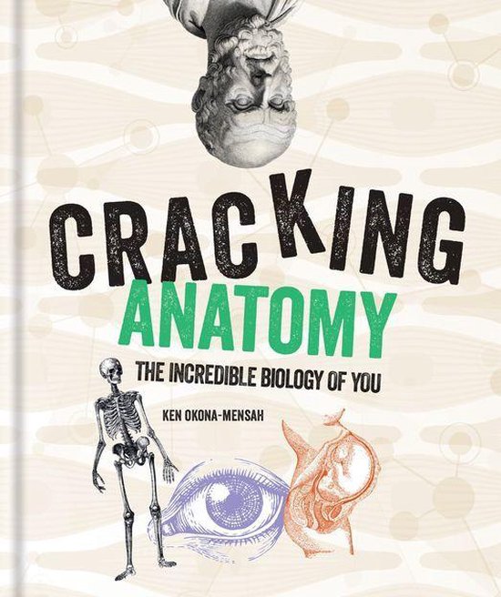 Cracking Series - Cracking Anatomy - cover