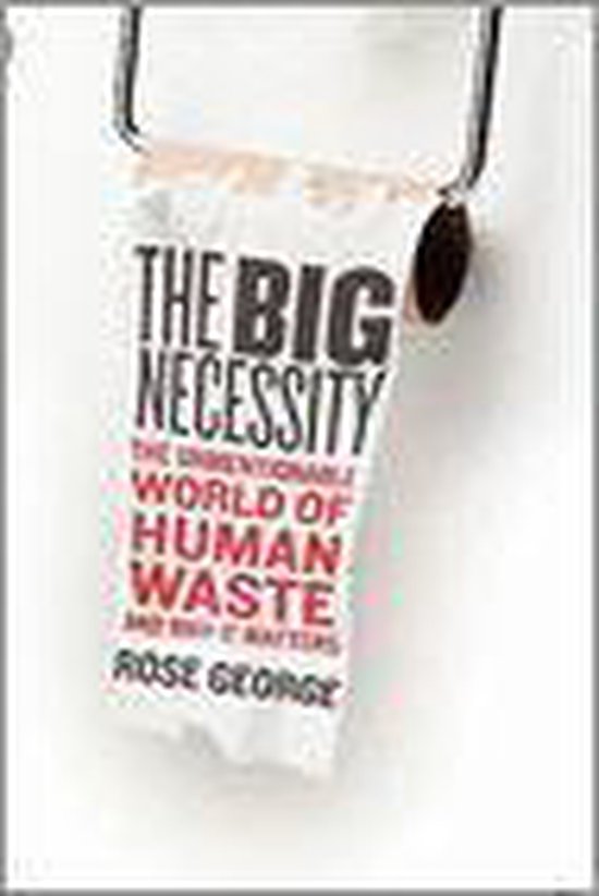 The Big Necessity - cover