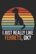 I Just Really Like Ferrets, OK?