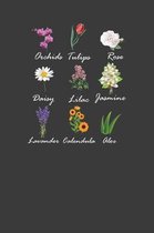 Orchids Tulips Rose Daisy Lilac Jasmine Lavender Calendula Aloe