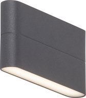AEG lamp Telesto LED buitenwandlamp 18cm 2 lichts antraciet | 2x 6W LED geïntegreerd (SMD), (475lm, 3000K) | Schaal A ++ tot E | IP-beschermingsklasse: 54 - spatwaterdicht