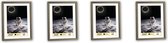 Zep fotolijst - KK9 - Brons - Koper - 40x60 cm - Kunststof - 4 stuks